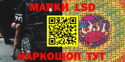 дмт Заволжье