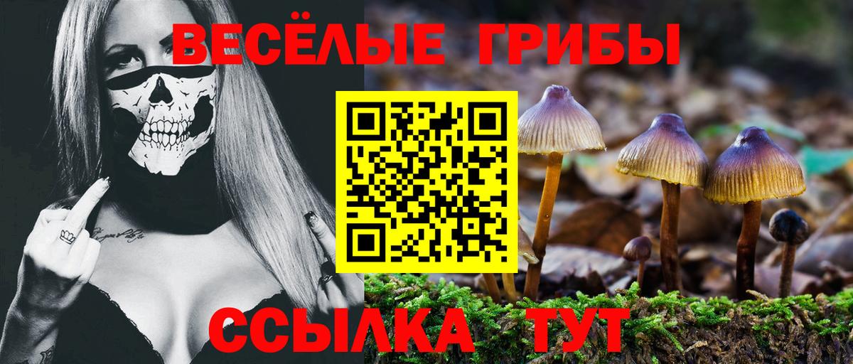 Дальнегорск  Галлюциногенные грибы ЛСД  Псилоцибиновые грибы Magic Shrooms  Вход с VPN 
