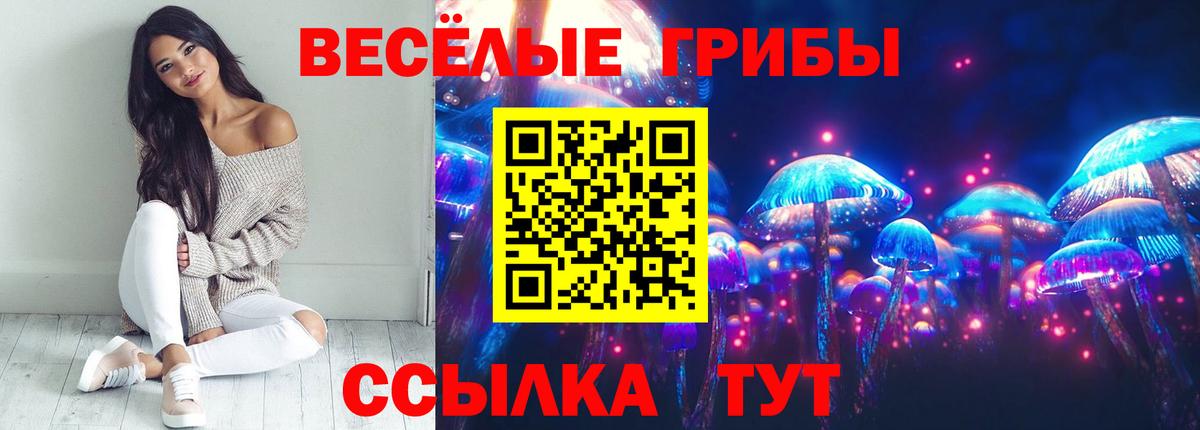 Галлюциногенные грибы мицелий Дальнегорск